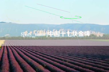 莱芜中国十七块金牌