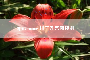 莱芜排三九宫图预测