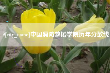 莱芜中国消防救援学院历年分数线