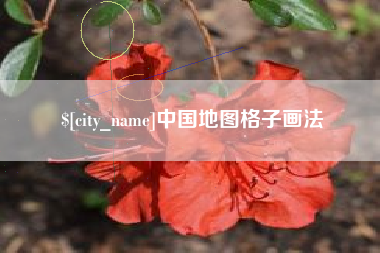 莱芜中国地图格子画法