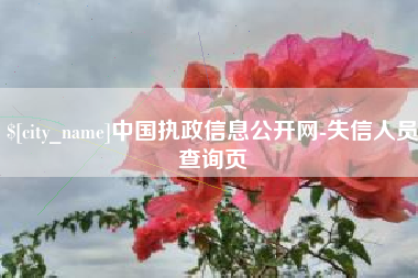 莱芜中国执政信息公开网-失信人员查询页
