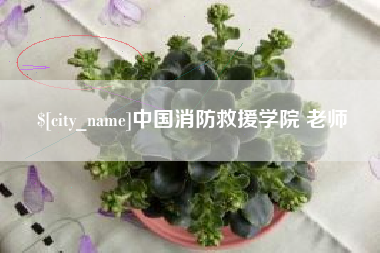 莱芜中国消防救援学院 老师