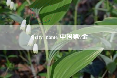 莱芜中国第9金