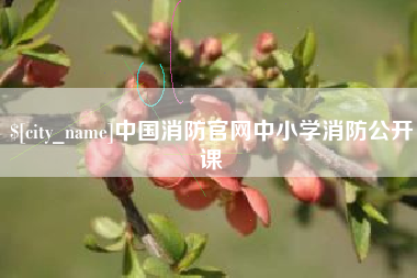 莱芜中国消防官网中小学消防公开课