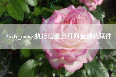 莱芜执行信息公开网查到的案件
