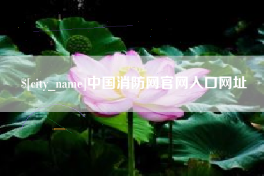 莱芜中国消防网官网入口网址