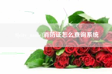 莱芜消防证怎么查询系统