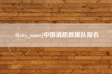 莱芜中国消防救援队报名