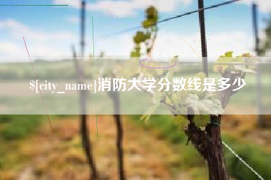 莱芜消防大学分数线是多少