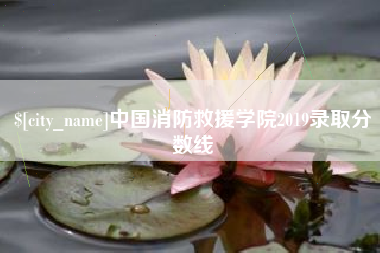 莱芜中国消防救援学院2019录取分数线