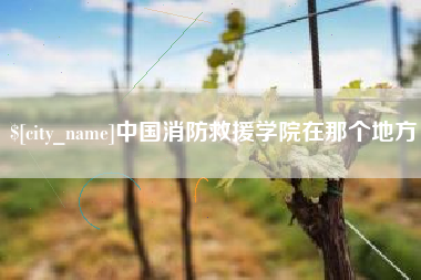 莱芜中国消防救援学院在那个地方