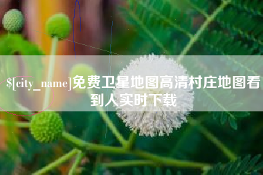 莱芜免费卫星地图高清村庄地图看到人实时下载