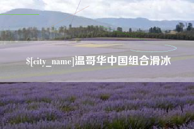 莱芜温哥华中国组合滑冰