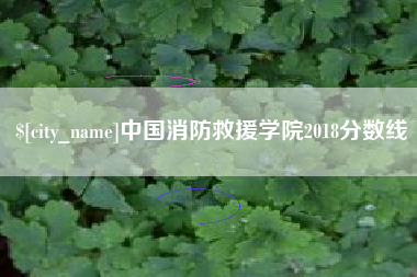 莱芜中国消防救援学院2018分数线