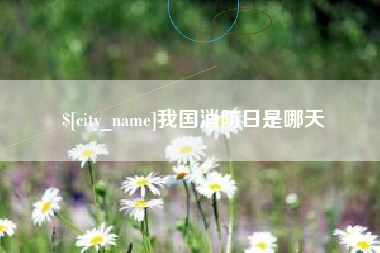 莱芜我国消防日是哪天
