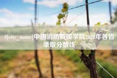 莱芜中国消防救援学院2020年各省录取分数线