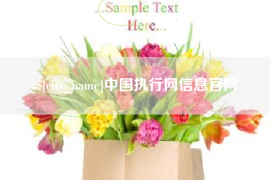 莱芜中国执行网信息官网