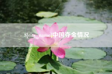 莱芜中国夺金情况