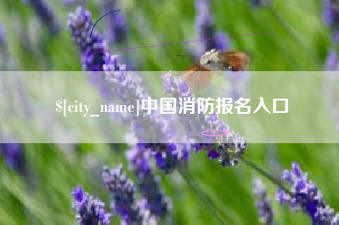 莱芜中国消防报名入口