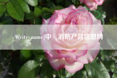 莱芜中囯消防产品信息网