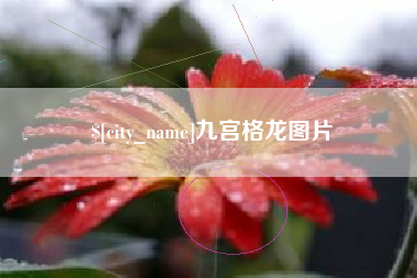 莱芜九宫格龙图片