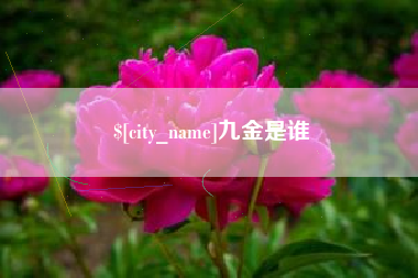 莱芜九金是谁
