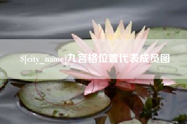 莱芜九宫格位置代表成员图