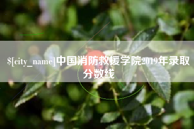 莱芜中国消防救援学院2019年录取分数线