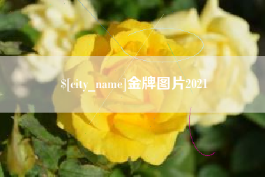 莱芜金牌图片2021