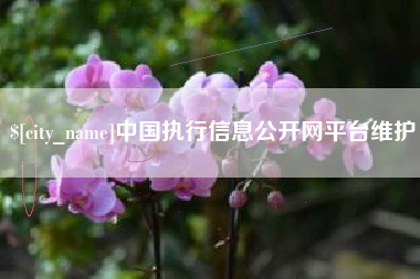 莱芜中国执行信息公开网平台维护