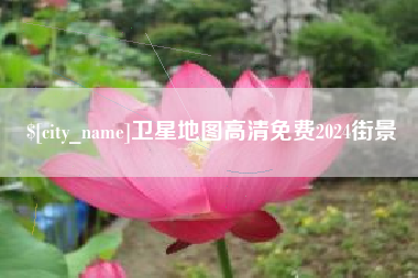 莱芜卫星地图高清免费2024街景