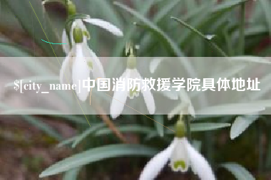 莱芜中国消防救援学院具体地址