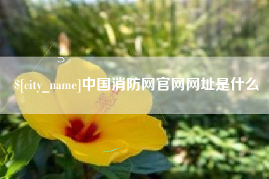 莱芜中国消防网官网网址是什么
