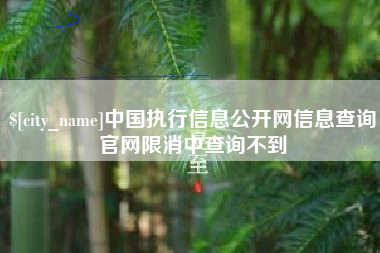 莱芜中国执行信息公开网信息查询官网限消中查询不到
