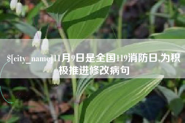 莱芜11月9日是全国119消防日,为积极推进修改病句