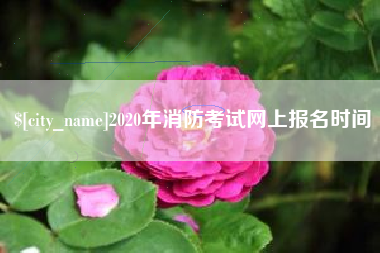 莱芜2020年消防考试网上报名时间