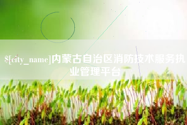 莱芜内蒙古自治区消防技术服务执业管理平台