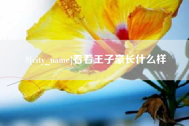 莱芜看看王子豪长什么样