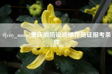 莱芜重庆消防设施操作员证报考条件