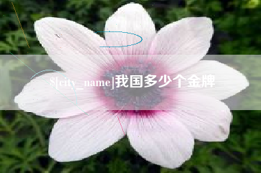 莱芜我国多少个金牌
