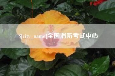莱芜全国消防考试中心
