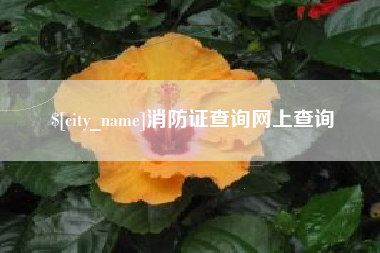 莱芜消防证查询网上查询