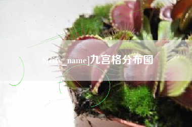 莱芜九宫格分布图