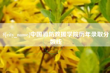 莱芜中国消防救援学院历年录取分数线