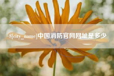 莱芜中国消防官网网址是多少