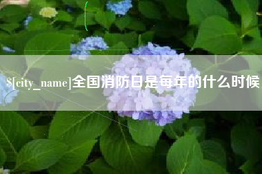 莱芜全国消防日是每年的什么时候