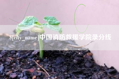 莱芜中国消防救援学院录分线