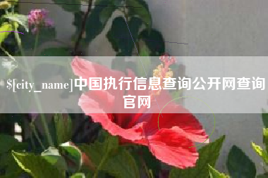 莱芜中国执行信息查询公开网查询官网