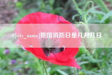 莱芜我国消防日是几月几日