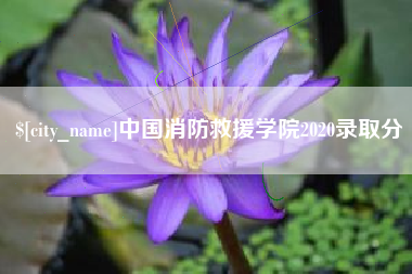 莱芜中国消防救援学院2020录取分
